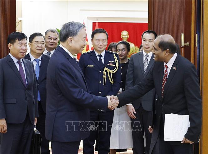 Tổng Bí thư Tô Lâm tiếp Đại sứ Singapore Jaya Ratnam đến chào từ biệt, kết thúc nhiệm kỳ công tác tại Việt Nam. Ảnh: Thống Nhất- TTXVN