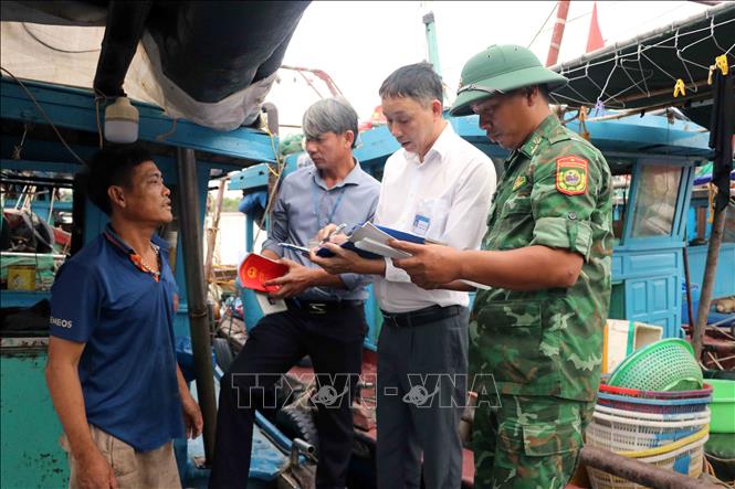 Local authorised forces exam fishing boats at Ngoc Hai port, Do Son ward. VNA Photo: Hoàng Ngọc