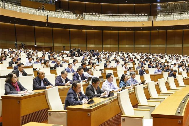 Đại biểu dự phiên họp. Ảnh: Doãn Tấn - TTXVN