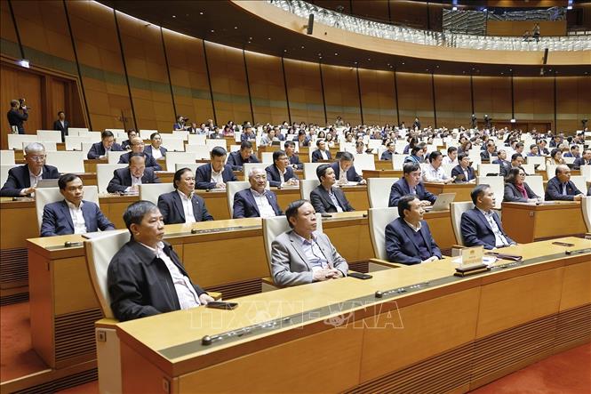 Đại biểu dự phiên họp. Ảnh: Doãn Tấn - TTXVN