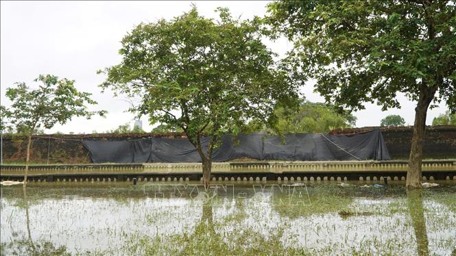 Trung tâm Bảo tồn Di tích Cố đô Huế đã rào chắn, bao che khu vực tường Hoàng thành bị sập đổ để đảm bảo an toàn. Ảnh: Mai Trang- TTXVN 