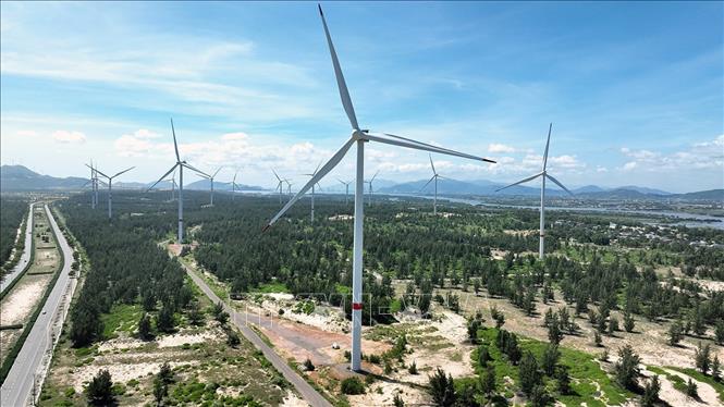 Nhà máy điện gió Phương Mai gồm 11 tổ máy, tổng công suất 26,4 MW, tổng mức đầu tư 1.076 tỷ đồng, trong Khu kinh tế Nhơn Hội, tỉnh Gia Lai. Ảnh: Vũ Sinh - TTXVN