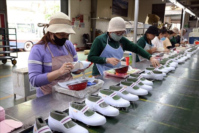 Sản xuất giầy học sinh xuất khẩu ở nhà máy của Công ty Cổ phần giầy Bình Định, Khu công nghiệp phú Tài, phường Quy Nhơn Bắc, tỉnh Gia Lai. Ảnh: Vũ Sinh - TTXVN