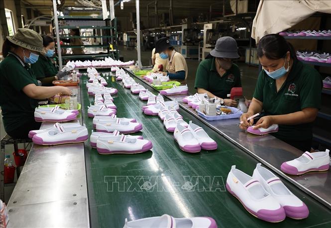 Sản xuất giầy học sinh xuất khẩu ở nhà máy của Công ty Cổ phần giầy Bình Định, Khu công nghiệp phú Tài, phường Quy Nhơn Bắc, tỉnh Gia Lai. Ảnh: Vũ Sinh - TTXVN