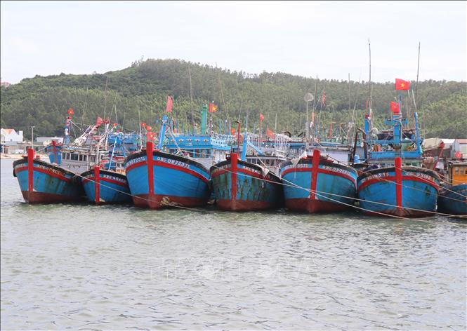 Quang Ngai fishermen's boats anchor at Sa Huynh fishing port to take shelter from Typhoon Kalmaegi. VNA Photo