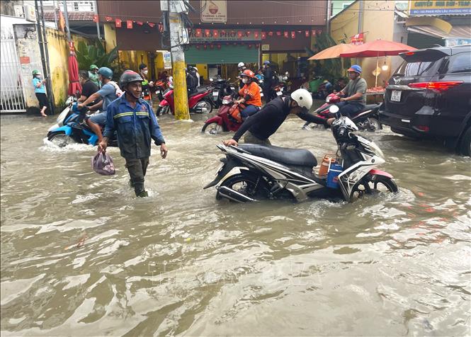 Nước ngập sâu gần hết bánh xe máy trên đường Phạm Hữu Lầu, TP. Hồ Chí Minh. Ảnh: Hương Giang – TTXVN