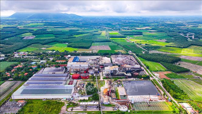 Vùng nguyên liệu công nghệ cao bền vững của TTC AgriS tại Tây Ninh, tập trung vào thế mạnh chuyển giao tiến bộ khoa học, công nghệ cao vào canh tác. Ảnh: Minh Phú – TTXVN