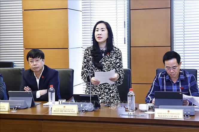 Đại biểu Quốc hội tỉnh Hưng Yên Đoàn Thị Thanh Mai phát biểu. Ảnh: Doãn Tấn - TTXVN