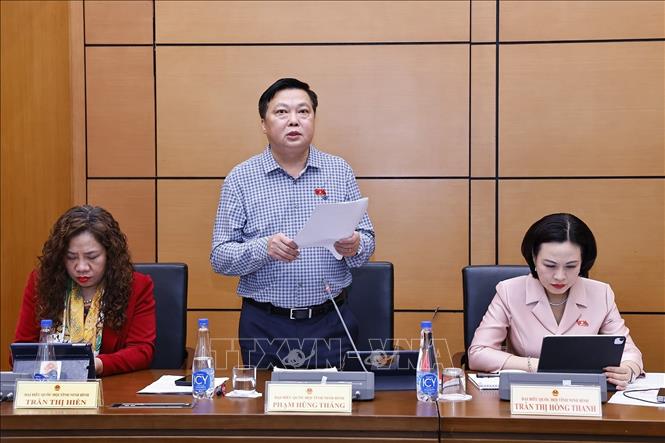 Đại biểu Quốc hội tỉnh Ninh Bình Phạm Hùng Thắng phát biểu. Ảnh: Doãn Tấn - TTXVN