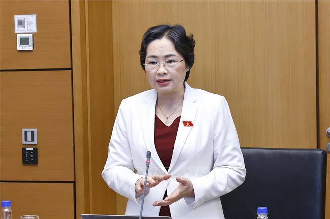 Đại biểu Quốc hội tỉnh Điện Biên Lò Thị Luyến phát biểu. Ảnh: Doãn Tấn - TTXVN