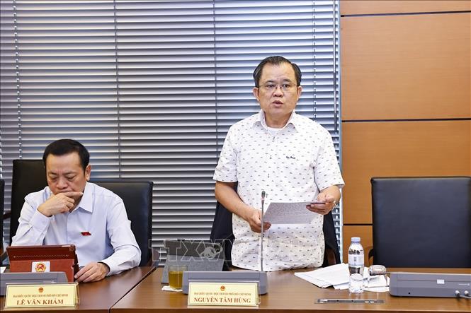 Đại biểu Quốc hội TP Hồ Chí Minh Nguyễn Tâm Hùng phát biểu. Ảnh: Doãn Tấn - TTXVN