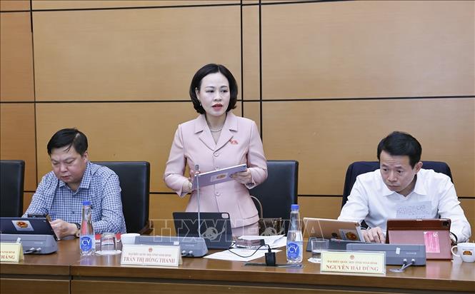 Đại biểu Quốc hội tỉnh Ninh Bình Trần Thị Hồng Thanh phát biểu. Ảnh: Doãn Tấn - TTXVN