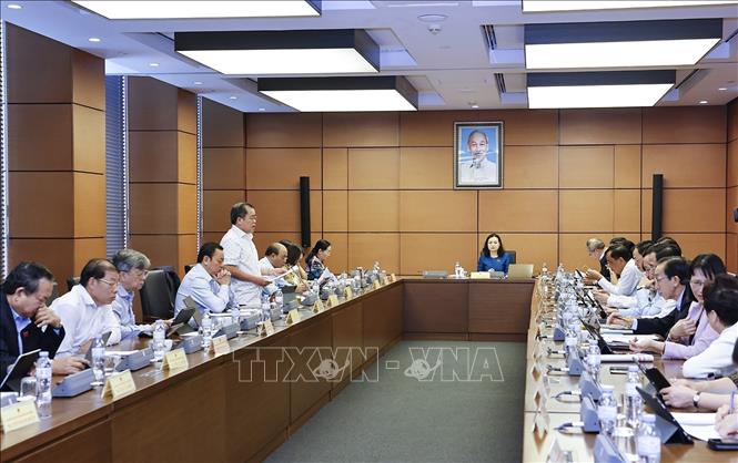 Đoàn đại biểu Quốc hội TP Hồ Chí Minh thảo luận ở tổ. Ảnh: Doãn Tấn - TTXVN