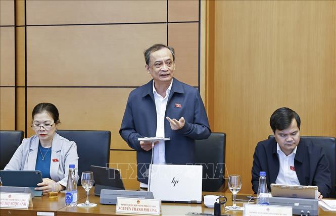 Đại biểu Quốc hội TP Cần Thơ Nguyễn Thanh Phương phát biểu. Ảnh: Doãn Tấn - TTXVN