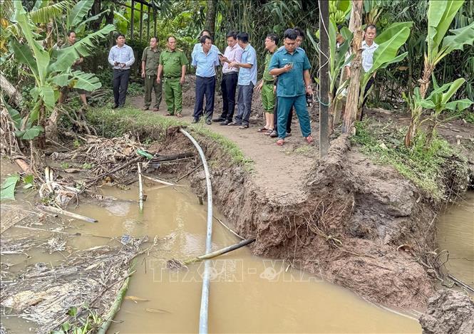 Lực lượng chức năng kiểm tra một đoạn đê bao bị vỡ trên cồn Sơn sáng 6/11/2025. Ảnh: Thanh Liêm - TTXVN