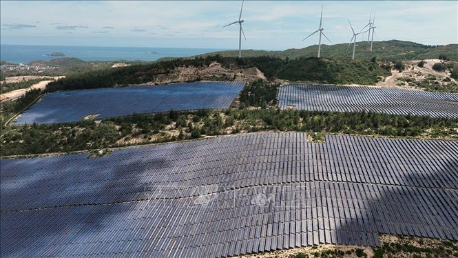 The 100% Japanese-invested Fujiwara Solar Power Plant at Nhon Hoi IP. VNA Photo: Vũ Sinh