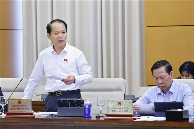 Chủ nhiệm Ủy ban Pháp luật và Tư pháp của Quốc hội Hoàng Thanh Tùng phát biểu. Ảnh: Doãn Tấn - TTXVN