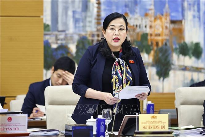 Chủ nhiệm Ủy ban Khoa học, Công nghệ và Môi trường của Quốc hội Nguyễn Thanh Hải phát biểu. Ảnh: Doãn Tấn - TTXVN