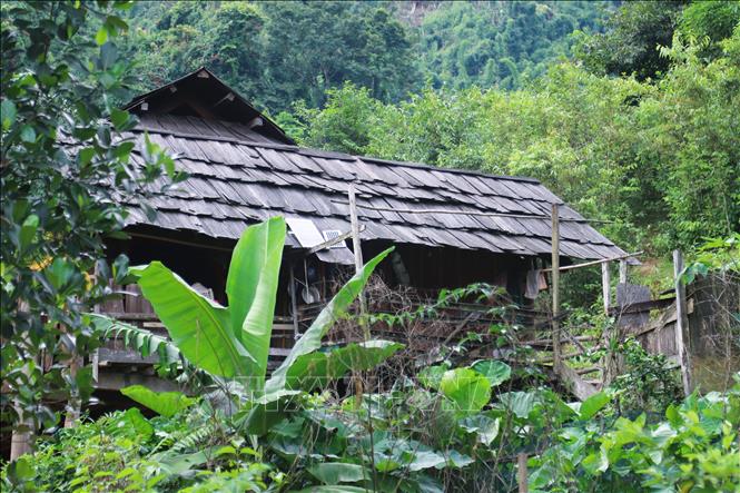 Mái nhà sàn lợp bằng gỗ sa-mu, pơ-mu gắn liền với đời sống của đồng bào dân tộc Thái giữa đại ngàn Pù Huống (Nghệ An). Ảnh: Xuân Tiến - TTXVN 
