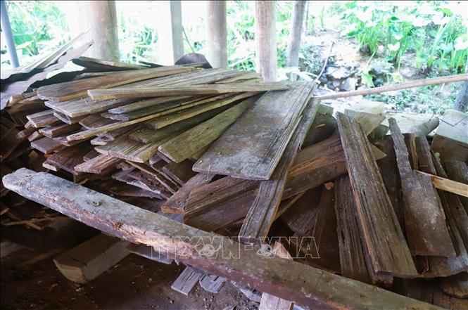 Gỗ pơ-mu, sa-mu tháo dỡ từ mái nhà do sau thời gian dài sử dụng đã bị cong vênh, hư hỏng. Ảnh: Xuân Tiến - TTXVN 