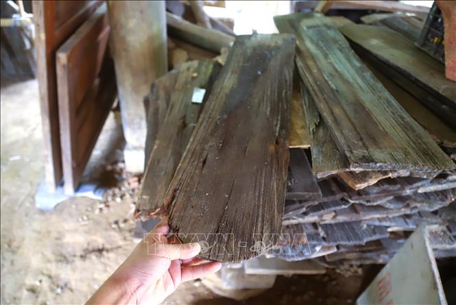 Những tấm ván gỗ sa-mu, pơ-mu dùng lợp mái nhà sàn đã bị tháo dỡ do sau thời gian dài sử dụng bị cong vênh, hư hỏng. Ảnh: Xuân Tiến - TTXVN 