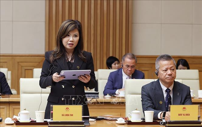 Bà Linda Tan, Chủ tịch SEMI Khu vực Đông Nam Á phát biểu. Ảnh: Dương Giang-TTXVN