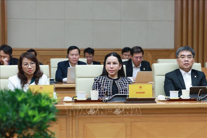 Đại diện lãnh đạo các doanh nghiệp bán dẫn tham dự buổi tiếp. Ảnh: Dương Giang-TTXVN
