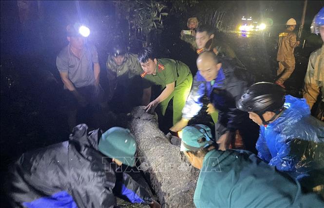 Lực lượng chức năng các địa phương tại tỉnh Đắk Lắk cùng người dân dọn dẹp cây xanh ngã đổ. Ảnh: TTXVN phát