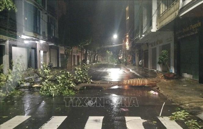 Cây cối tại phường Tuy Hoà bị ngã đổ sau khi bão đổ bộ. Ảnh: TTXVN phát