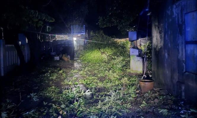 Cây cối ngã đổ ra đường sau bão số 13. Ảnh: TTXVN phát