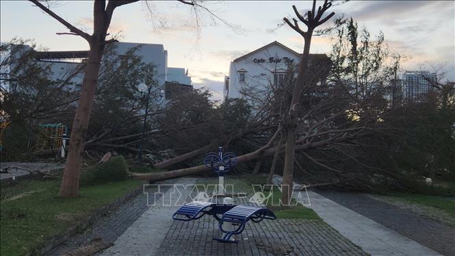 Thiệt hại do bão số 13 tại phường Quy Nhơn. Ảnh: Sỹ Thắng-TTXVN