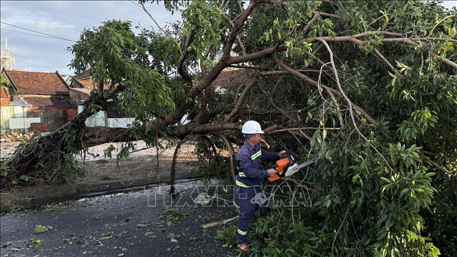 Công nhân môi trường khắc phục cây xanh bị ngã. Ảnh Tường Quân- TTXVN