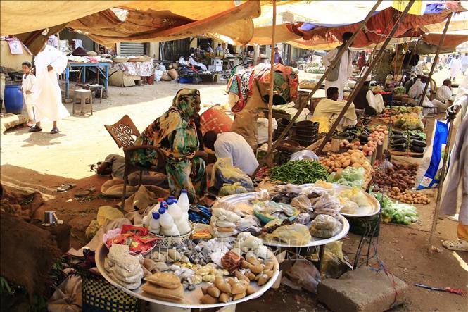 Ngày 6/11/2025, Lực lượng Hỗ trợ Nhanh (RSF) bán quân sự của Sudan tuyên bố đã nhất trí 