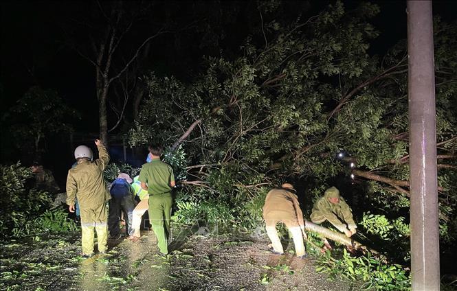 Local forces in Dak Lak work over night to overcome the typhoon's aftermaths. VNA Photo