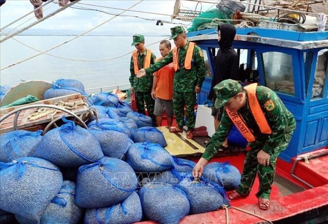 Đồn Biên phòng Cửa khẩu cảng Vạn Gia (BĐBP Quảng Ninh) bắt giữ, xử lý tàu cá đánh bắt sai vùng (2023). Ảnh: TTXVN phát