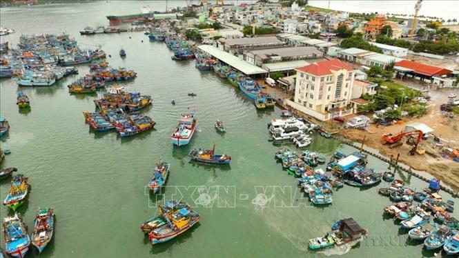 Tỉnh Bình Định có 3.221/3.244 tàu cá có chiều dài từ 15m trở lên đã được trang bị thiết bị giám sát hành trình (GSHT) đạt 99,29% (8/2024). Ảnh: Vũ Sinh - TTXVN