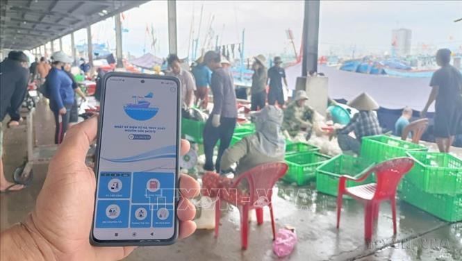 Hơn 3.000 lượt tàu cá tại Khánh Hòa thực hiện thủ tục xuất và cập cảng thông qua hệ thống eCDT, đóng góp tích cực vào công tác quản lý chống khai thác IUU. Ảnh: Đặng Tuấn - TTXVN