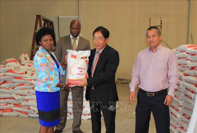 Đại sứ Việt Nam Đỗ Bá Khoa thay mặt cộng đồng người Việt Nam tại Angola trao tặng cho Tỉnh trưởng Benguela 25 tấn gạo 