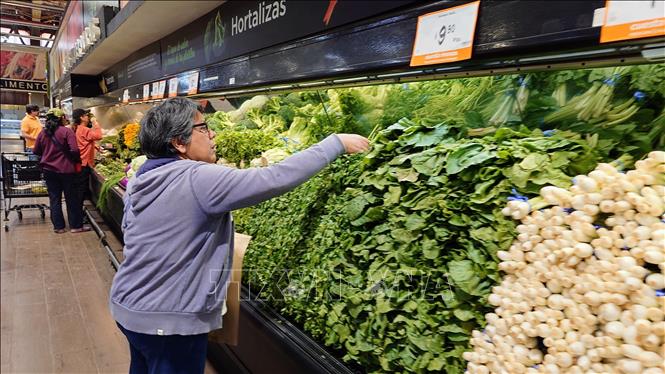 Quầy bán các loại rau củ quả tại một trung tâm thương mại tại thành phố Guadalajara, bang Jalisco, Mexico. Ảnh: Phi Hùng - PV TTXVN tại Mexico 