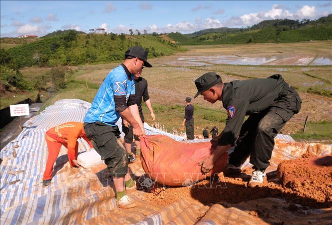 Lực lượng Cảnh sát cơ động Công an tỉnh Lâm Đồng hỗ trợ gia cố thân đập hồ thủy lợi Cay An trong sáng 8/11. Ảnh: Nguyễn Dũng – TTXVN 