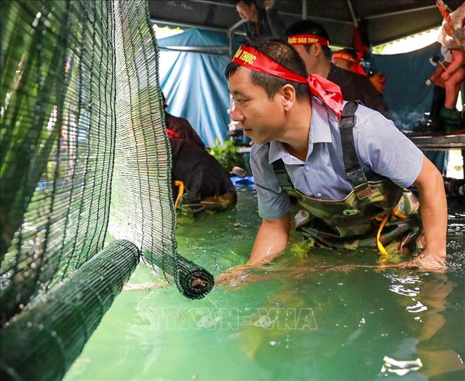Các nghệ nhân đứng trong buồng trò (thủy đình) được che chắn kỹ lưỡng, sử dụng sào, dây và bộ máy điều khiển ẩn dưới mặt nước để làm cho con rối cử động, di chuyển một cách sống động như thật. Ảnh: Khánh Hoà - TTXVN
