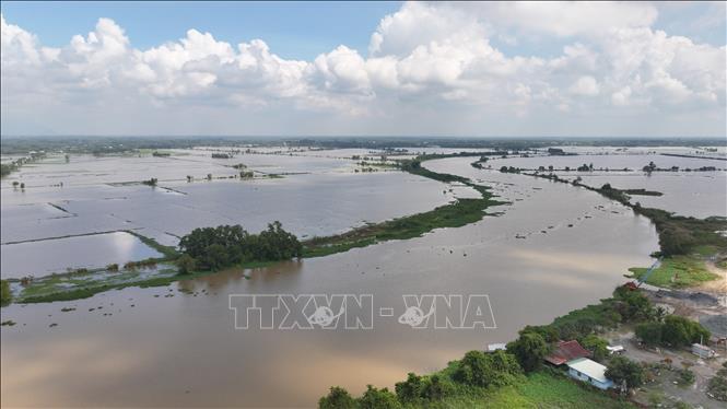 Nước sông Vàm Cỏ Đông (đoạn chảy qua địa phận xã Thạnh Đức, tỉnh Tây Ninh) dâng cao, gây ngập nhiều diện tích đất nông nghiệp của người dân. Ảnh: Thanh Tân – TTXVN