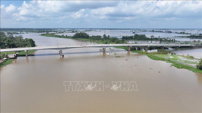 Nước sông Vàm Cỏ Đông (đoạn chảy qua địa phận xã Bến Cầu, tỉnh Tây Ninh) dâng cao, gây ngập nhiều diện tích đất nông nghiệp của người dân. Ảnh: Thanh Tân - TTXVN