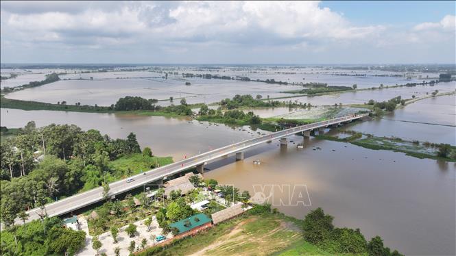 Nước sông Vàm Cỏ Đông (đoạn chảy qua địa phận xã Bến Cầu, tỉnh Tây Ninh) dâng cao, gây ngập nhiều diện tích đất nông nghiệp của người dân. Ảnh: Thanh Tân - TTXVN