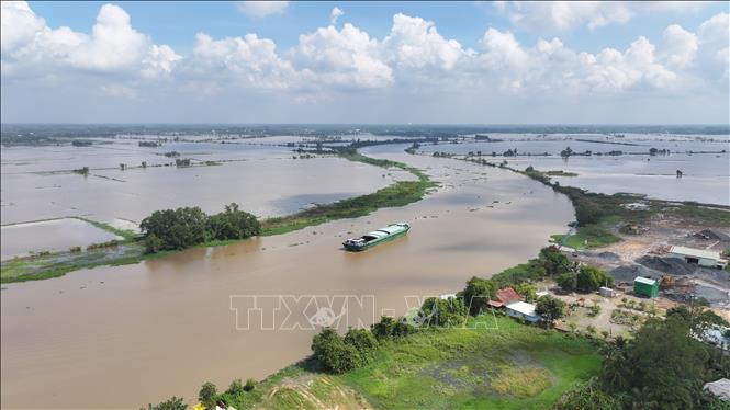 Nước sông Vàm Cỏ Đông (đoạn chảy qua địa phận xã Thạnh Đức, tỉnh Tây Ninh) dâng cao, gây ngập nhiều diện tích đất nông nghiệp của người dân. Ảnh: Thanh Tân – TTXVN