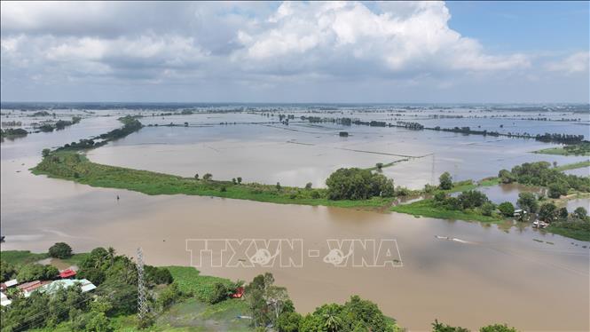 Nước sông Vàm Cỏ Đông (đoạn chảy qua địa phận xã Thạnh Đức, tỉnh Tây Ninh) dâng cao, gây ngập nhiều diện tích đất nông nghiệp của người dân. Ảnh: Thanh Tân – TTXVN