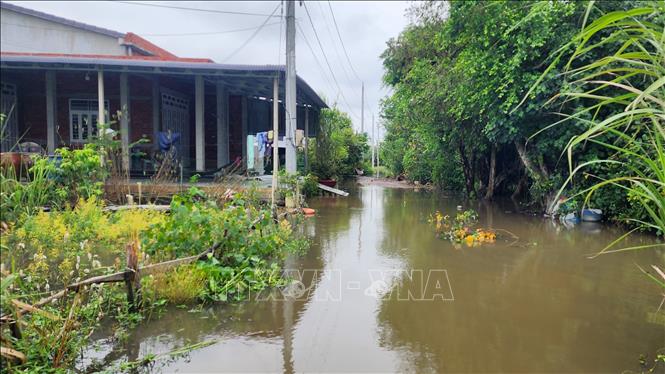 Nước sông Vàm Cỏ Đông dâng cao, gây ngập trên địa bàn xã Phước Chỉ, tỉnh Tây Ninh. Ảnh: Minh Phú - TTXVN