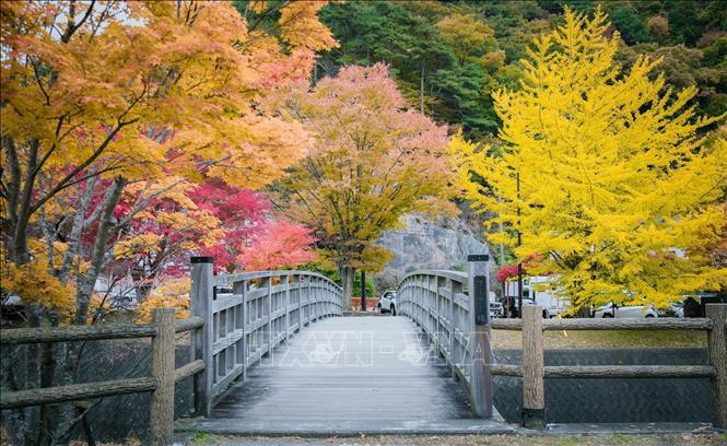 Sắc màu rực rỡ của mùa Thu ven hồ Sai - một trong 