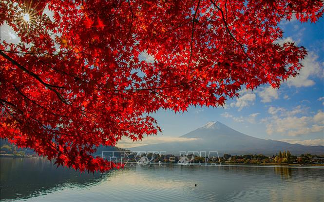 Núi Phú Sĩ - biểu tượng của Nhật Bản mang vẻ đẹp mỗi độ Thu về. Ảnh: Xuân Giao – PV TTXVN tại Nhật Bản