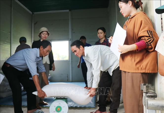 Do đường đứt gãy sạt lở xã Sơn Tây Hạ nên ô tô không thể vào trung tâm, lãnh đạo xã Sơn Tây đã huy động gạo từ các trường học để cứu trợ người dân. Ảnh: Phạm Cường-TTXVN